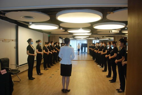 酒店礼仪培训 提升服务品质与企业竞争力的核心